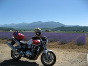 CB1300SF_LastSummer.jpg