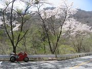 Ducati999_Apr21_2008_3.jpg