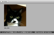 iPhoto_icchi.png