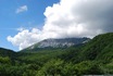 DSC_0271.jpg