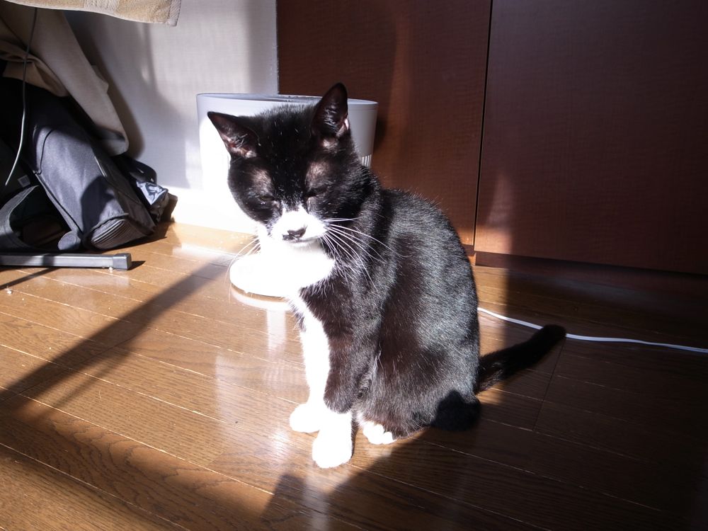 http://www.omaken.com/mt/20140413R0013163.jpg