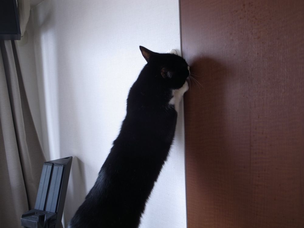 http://www.omaken.com/mt/20140414R0013165.jpg