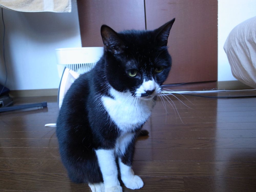 http://www.omaken.com/mt/20140415R0013167.jpg