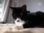 20140317R0013103.jpg