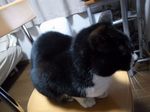 20140411R0013160.jpg