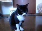 20140415R0013167.jpg