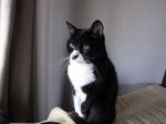 20140417R0013169.jpg