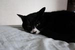 20140908IMG_0795.jpg