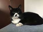 20140920.jpg