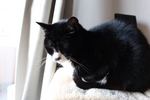 20141030IMG_0969.jpg