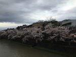 20140506IMG_0642.jpg
