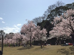 20150406IMG_0633.jpg