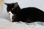 IMG_1454.jpg
