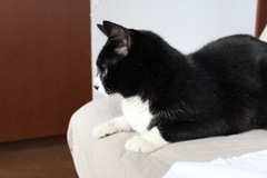 IMG_1891.jpg
