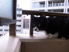 R0013375.jpg