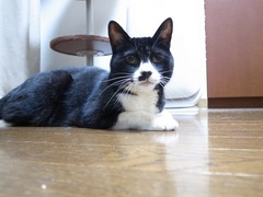 R0013379.jpg