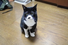 IMG_1951.jpg