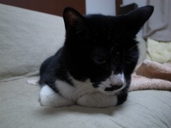 R0013395.jpg