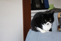 IMG_2100.jpg