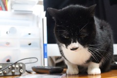 IMG_2109.jpg