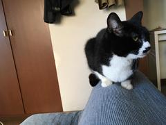 IMG_0072.jpg