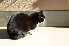 IMG_2649.jpg