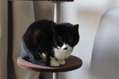 IMG_2651.jpg