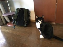 IMG_0086.jpg