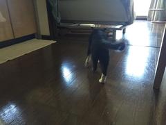 IMG_1779.jpg