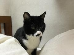 IMG_0290.jpg