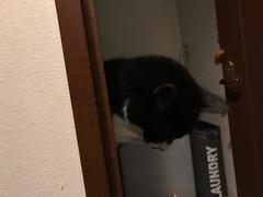 IMG_0398.jpg