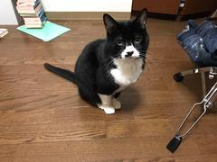 IMG_0892.jpg