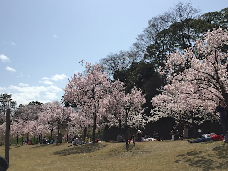 http://www.omaken.com/mt/mt-img/20150406IMG_0633.jpg