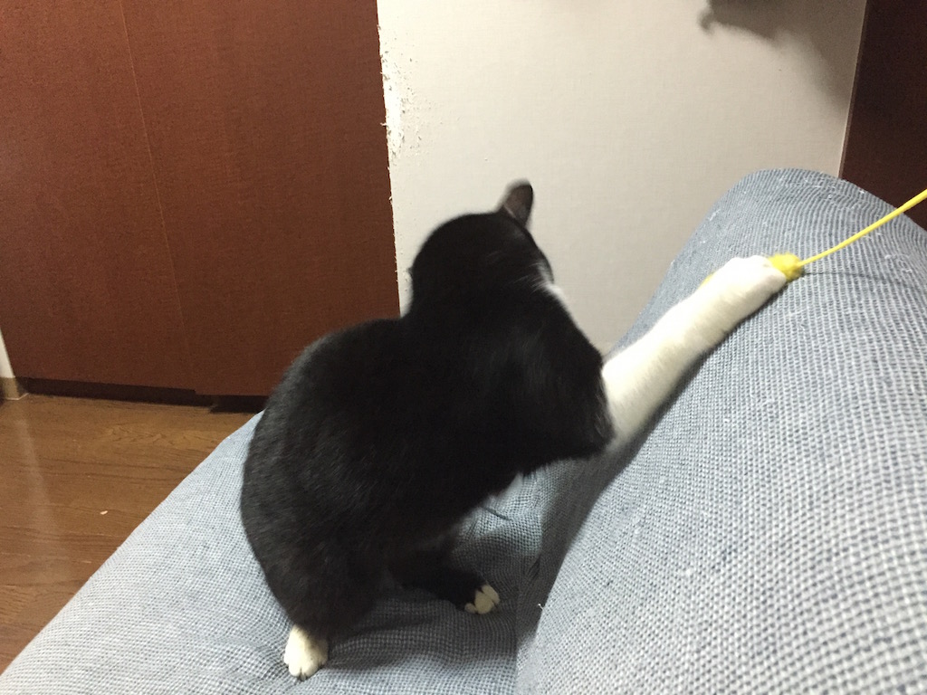 http://www.omaken.com/mt/mt-img/IMG_0677.jpg