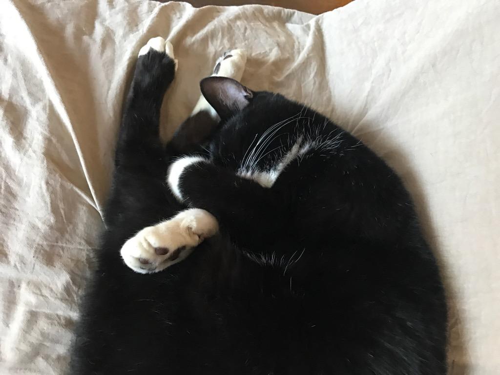 http://www.omaken.com/mt/mt-img/IMG_0788.jpg