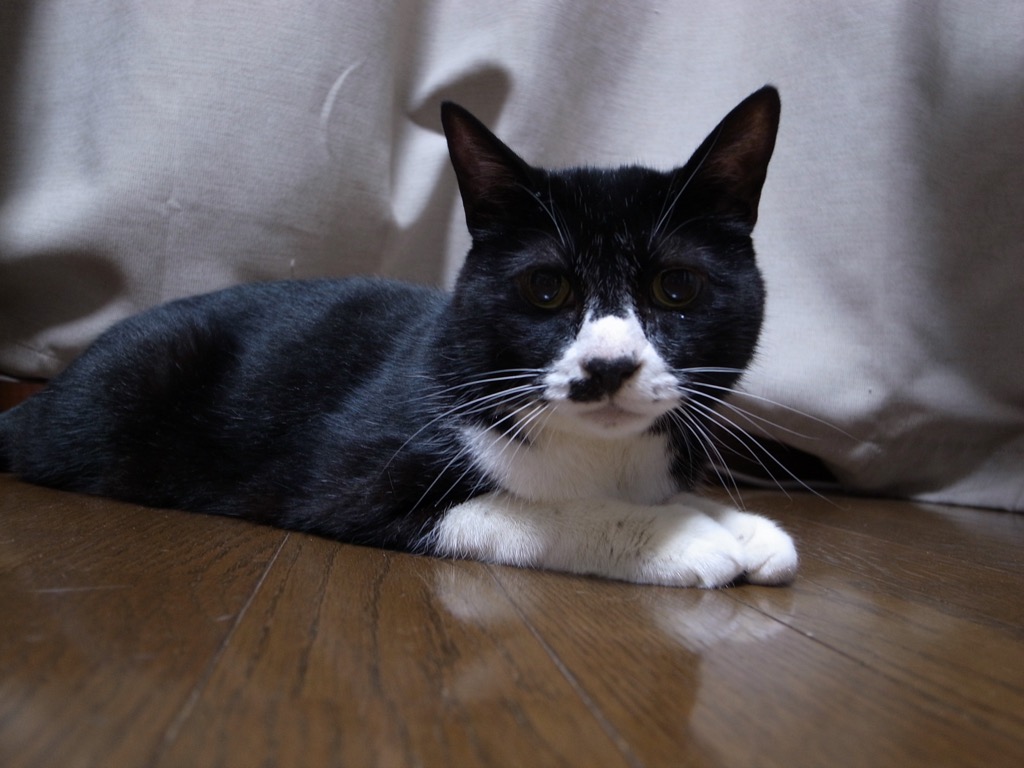 http://www.omaken.com/mt/mt-img/R0013335.jpg