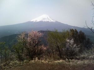 mtfuji.jpg