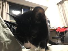 IMG_1854.jpeg