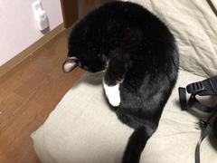 IMG_1856.jpeg