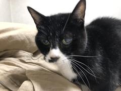 IMG_1859.jpeg