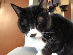d3cfefcf-72c8-4873-a703-9add829dc52e.jpg