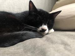 IMG_3159.JPEG