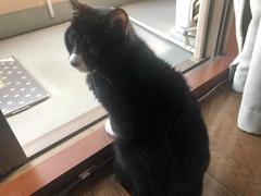 IMG_3185.JPEG