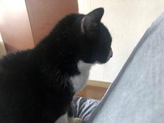 IMG_3186.JPEG