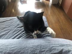 IMG_3187.JPEG