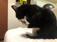 IMG_3225.JPEG