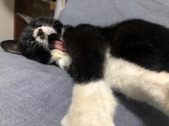 IMG_3718.JPEG