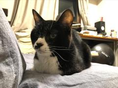 IMG_3721.JPEG