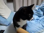 20130101R0012858.jpg