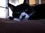 20130103R0012862.jpg